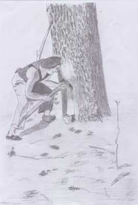 Rsinier